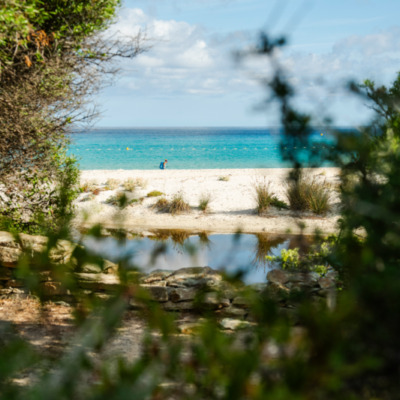 Plage de Saleccia