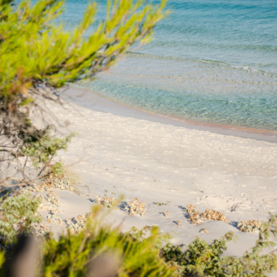 Plage de Saleccia