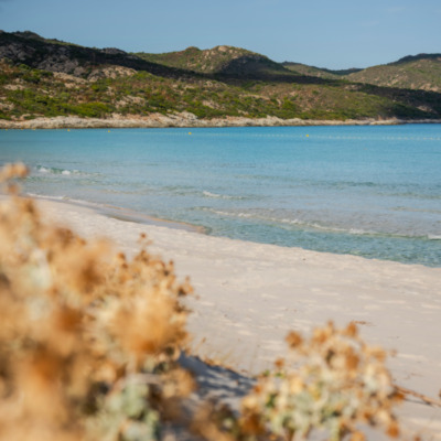 Plage de Saleccia