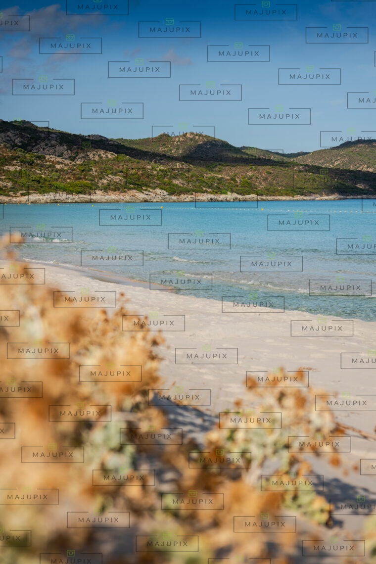 Plage de Saleccia