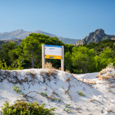 Plage de Saleccia