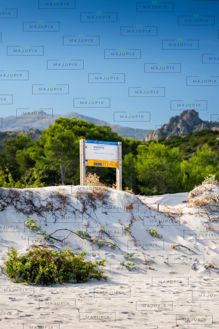 Plage de Saleccia