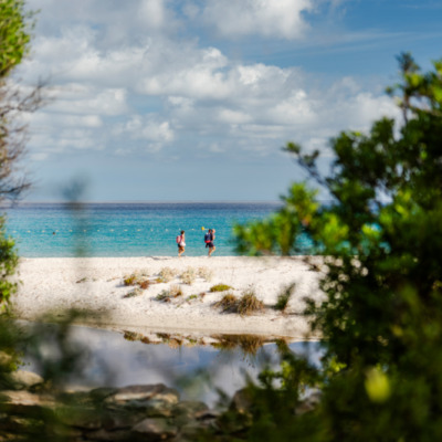 Plage de Saleccia