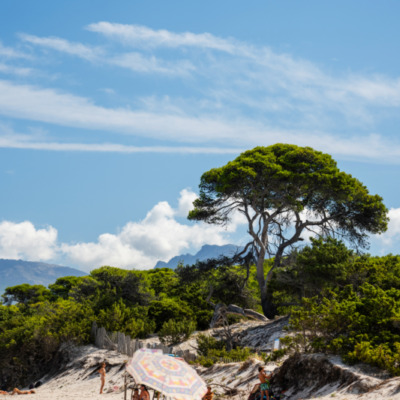 Plage de Saleccia