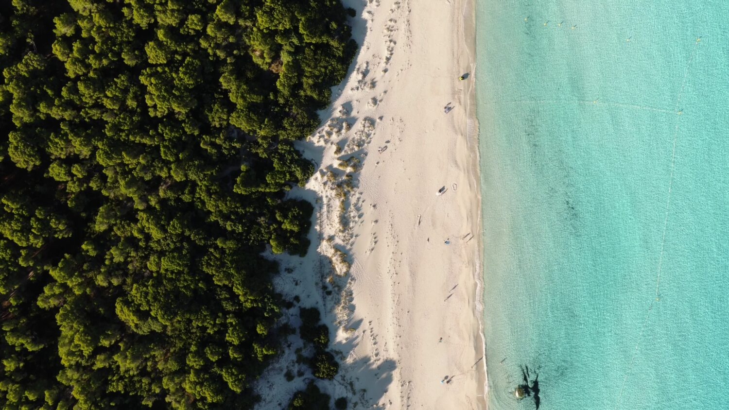 Plage de Saleccia
