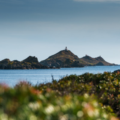 Les Iles Sanguinaires Ajaccio
