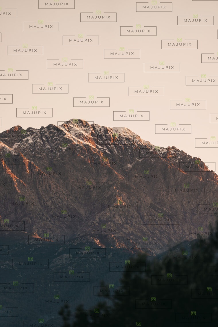 Montagne enneigée