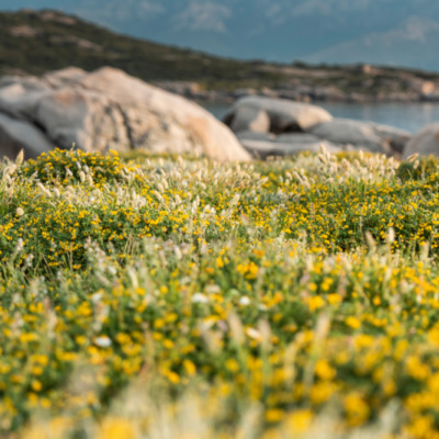 Pointe de Spano