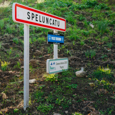 Speloncato