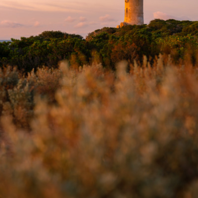 Tour génoise d'Olmeto au lever de soleil Monacia-d'Aullène