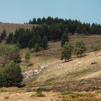 Bergeries de Tova