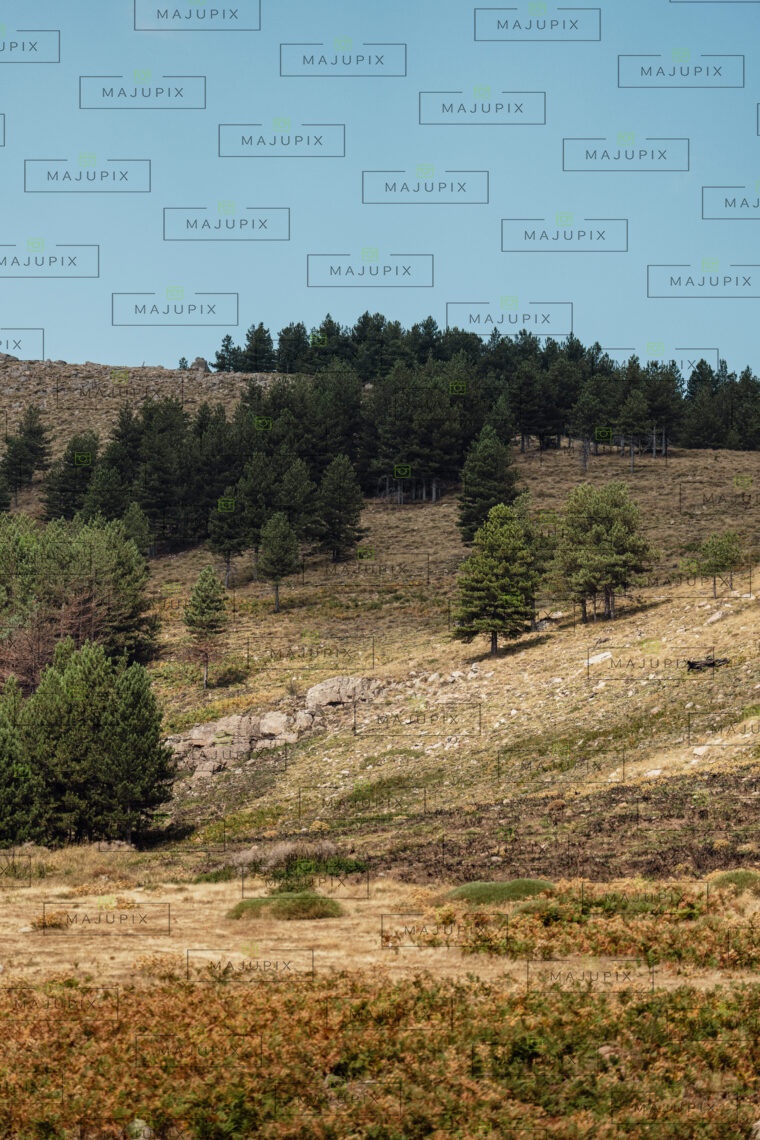 Bergeries de Tova