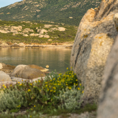 Pointe de Spano
