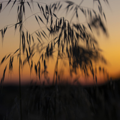 Coucher de soleil à la pointe de Spano