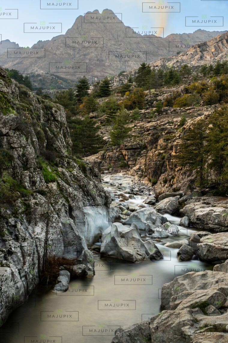 Montagne et rivière à Albertacce