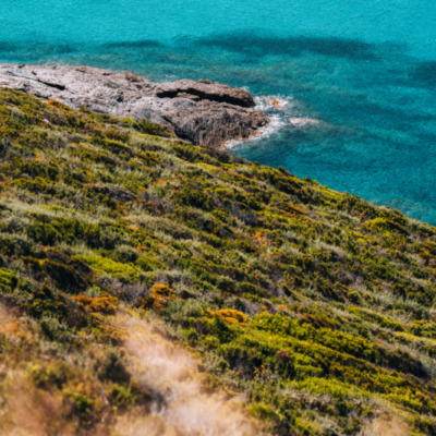 Anse d'Alisu