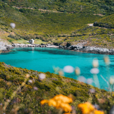 Anse d'Alisu