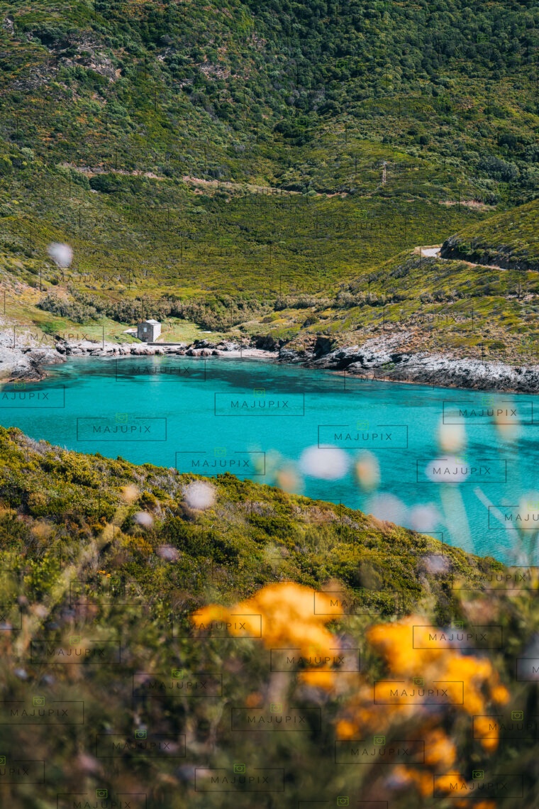 Anse d'Alisu