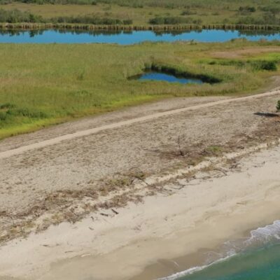 Plage de Calzarellu
