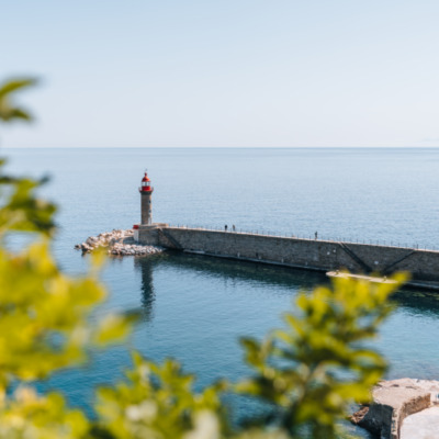 Vieux port de Bastia depuis le Jardin Romieu