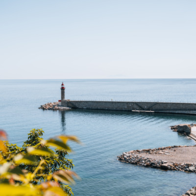 Vieux port de Bastia depuis le Jardin Romieu