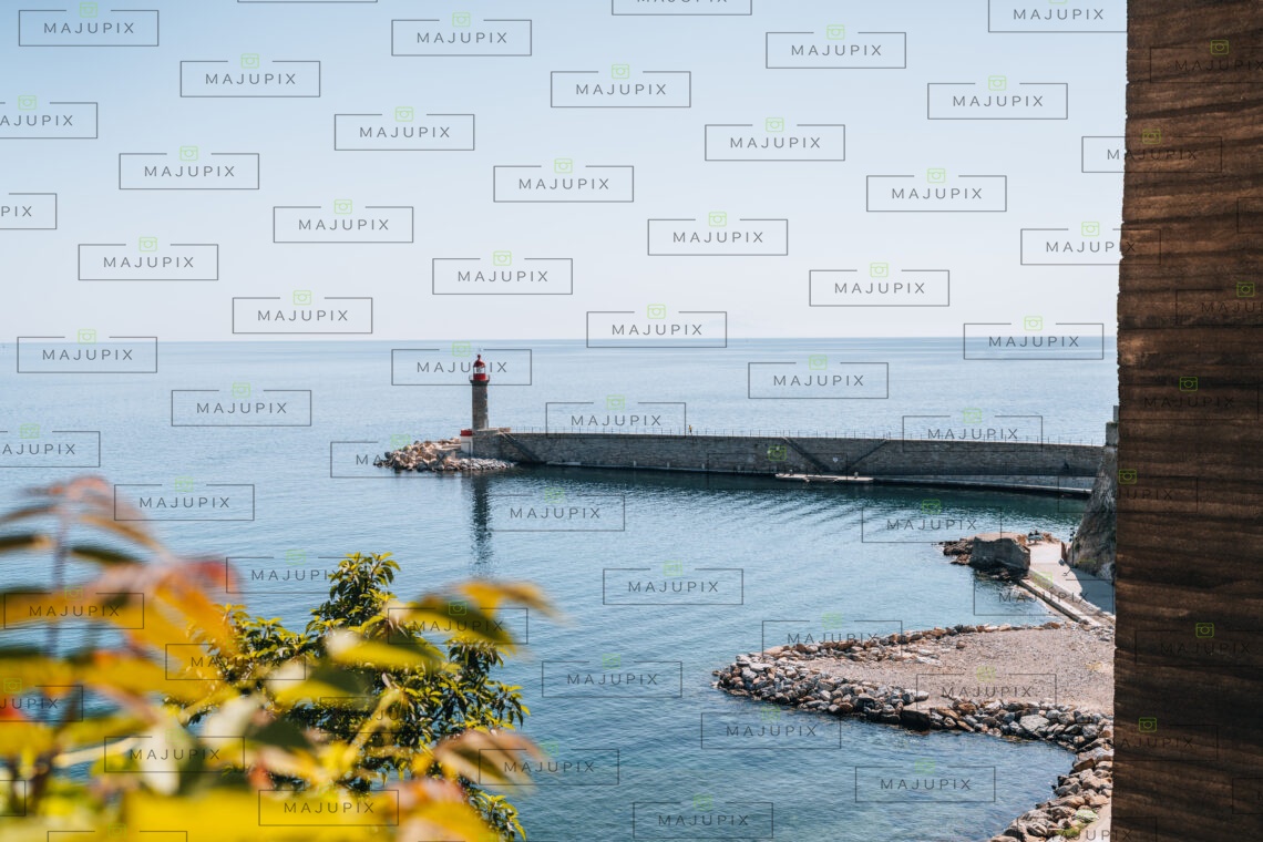 Vieux port de Bastia depuis le Jardin Romieu