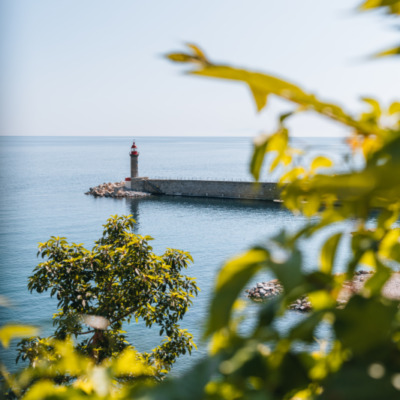 Vieux port de Bastia depuis le Jardin Romieu