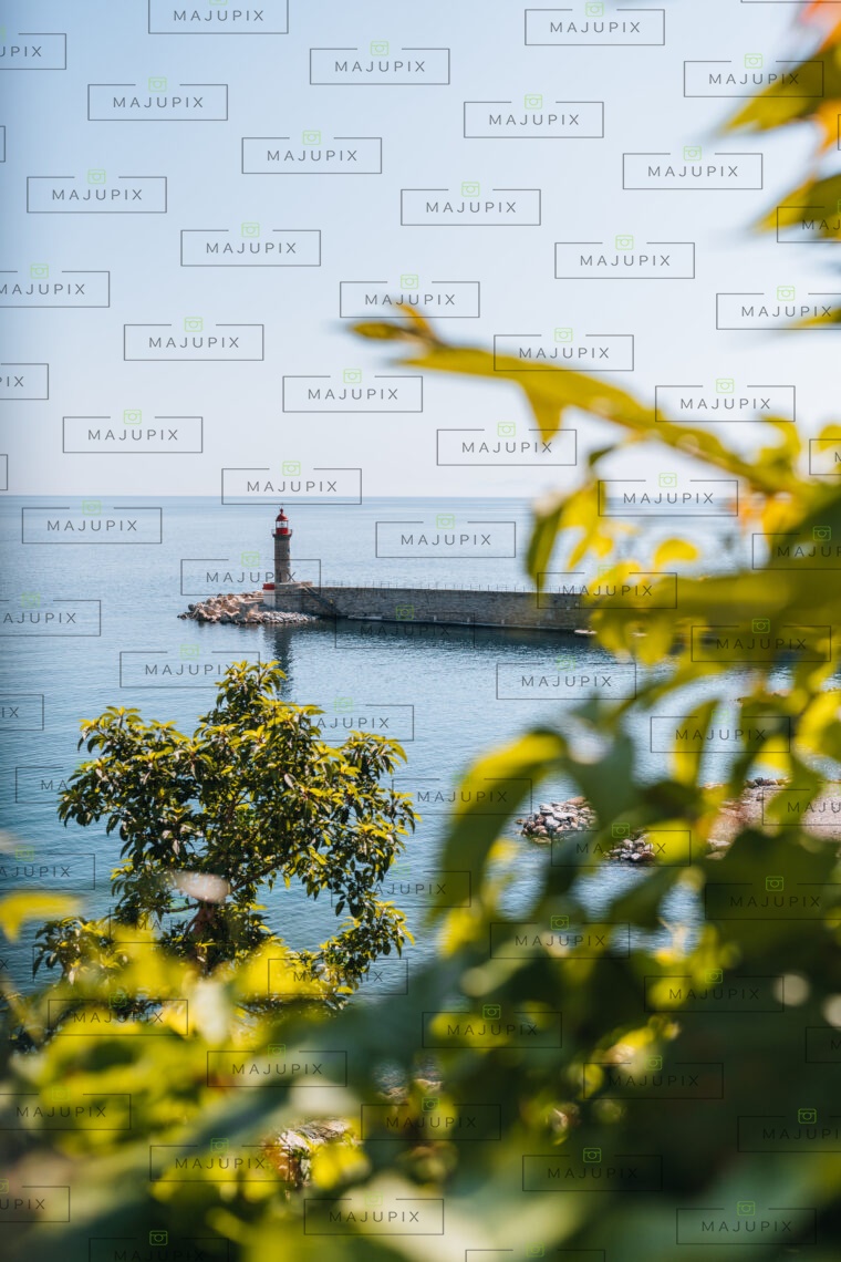 Vieux port de Bastia depuis le Jardin Romieu