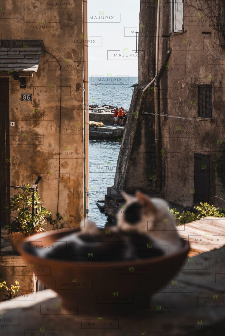 Erbalunga