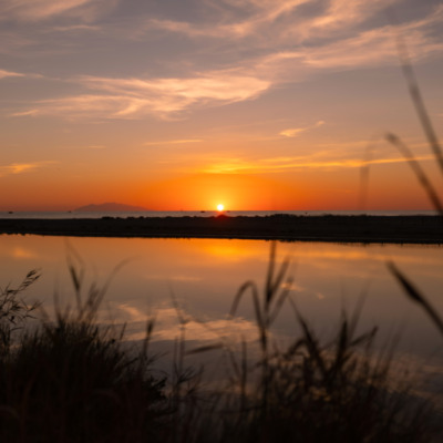 Lever de soleil sur l'étang de Biguglia