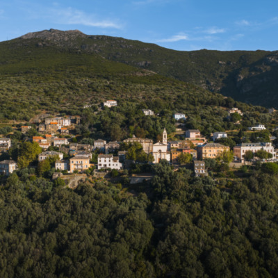 Figarella