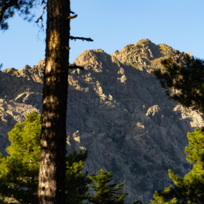 Forêt d'Aïtone