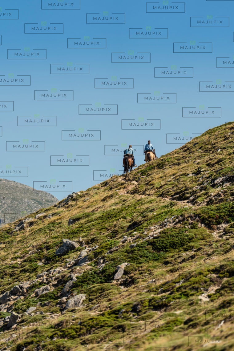 Chevaux sur le sentier I Pozzi depuis le Val d'Ese
