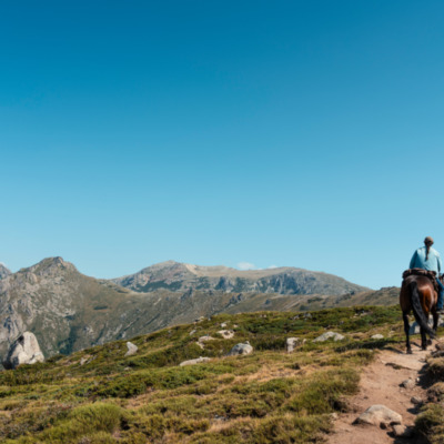 Chevaux sur le sentier I Pozzi depuis le Val d'Ese