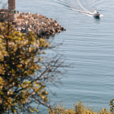 Port de Bastia depuis le Jardin Romieu
