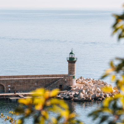 Port de Bastia depuis le Jardin Romieu
