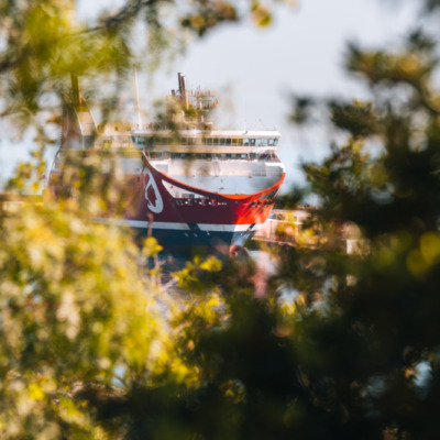 Port de Bastia depuis le jardin Romieu