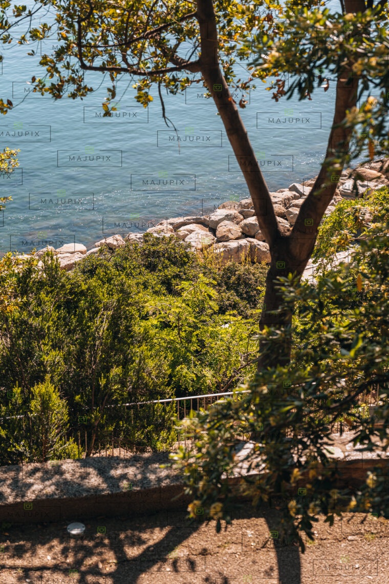 Vieux port de Bastia depuis le Jardin Romieu