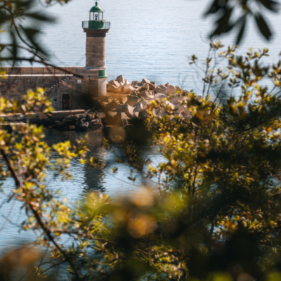 Port de Bastia depuis le Jardin Romieu
