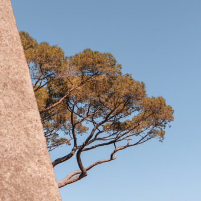 Jardin Romieu