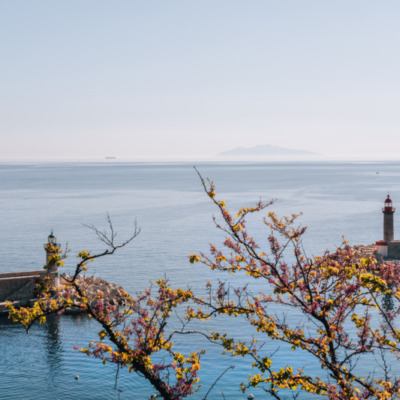 Vieux port de Bastia depuis le Jardin Romieu