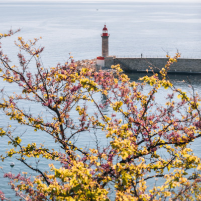 Vieux port de Bastia depuis le Jardin Romieu