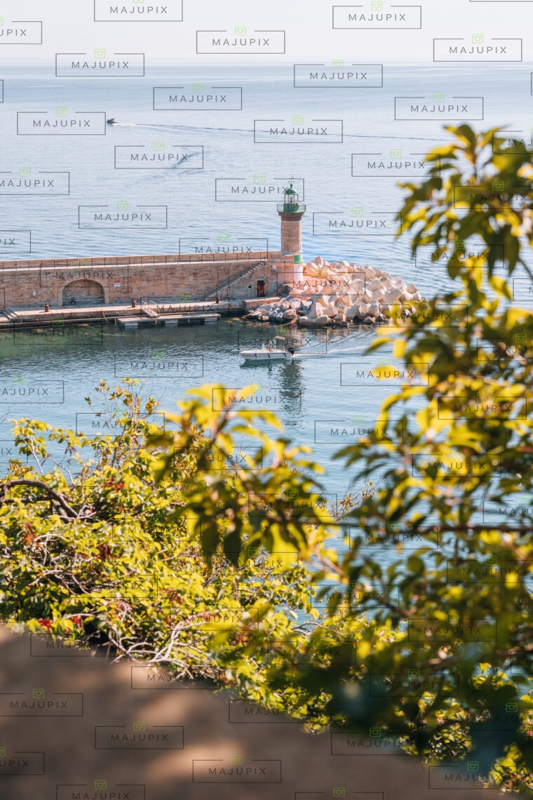 Vieux port de Bastia depuis le Jardin Romieu