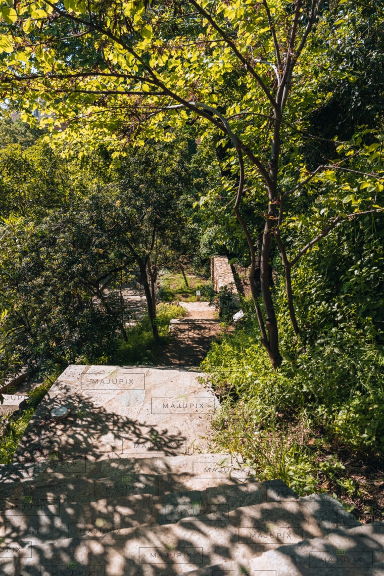 Jardin Romieu