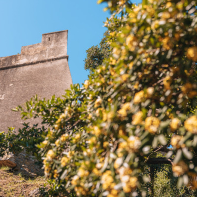 Citadelle depuis le Jardin Romieu