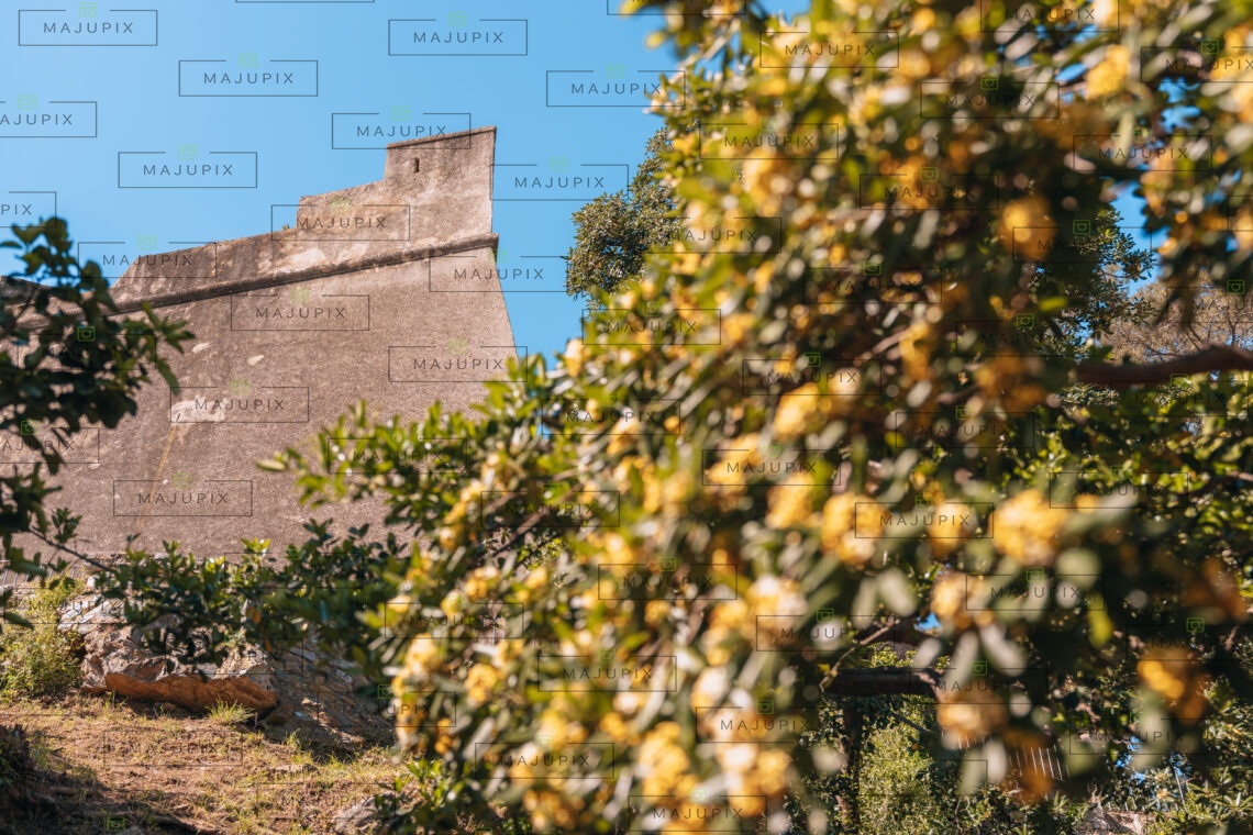 Citadelle depuis le Jardin Romieu