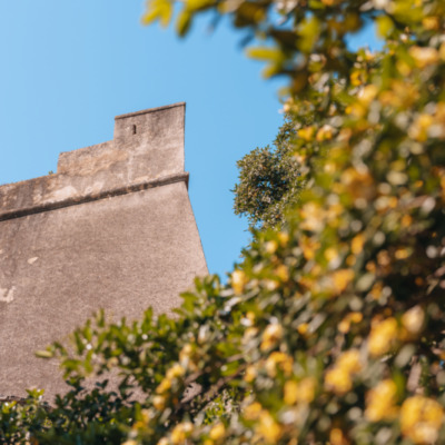 Citadelle depuis le Jardin Romieu