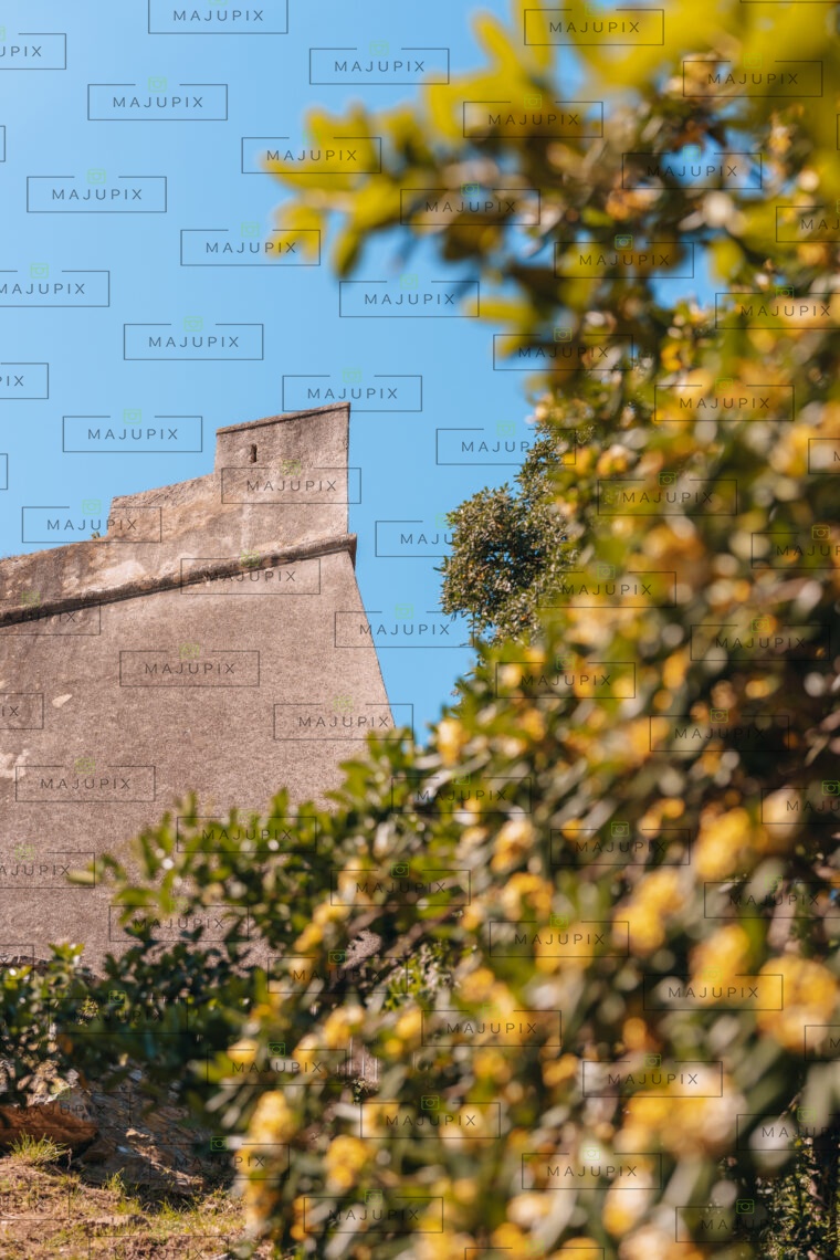 Citadelle depuis le Jardin Romieu
