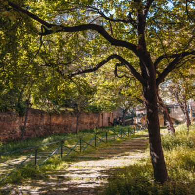 Jardin Romieu