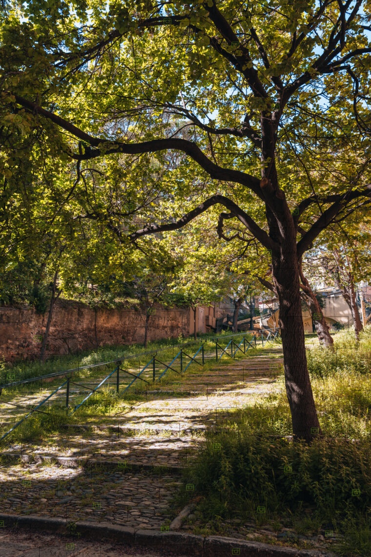 Jardin Romieu